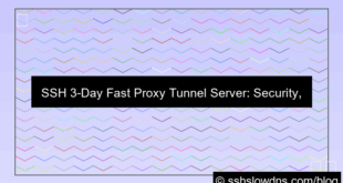 SSH 3 Days Fast Proxy Tunnel Server