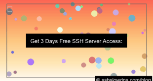 visual SSH 3 Days Free Secure Server Access