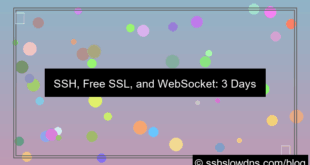 SSH 3 Days Free SSL and WebSocket