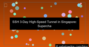 SSH 3 Days HighSpeed Tunnel Singapore