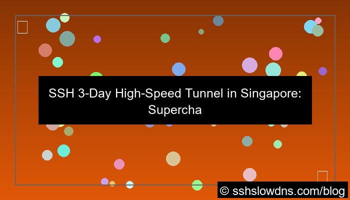 SSH 3 Days HighSpeed Tunnel Singapore
