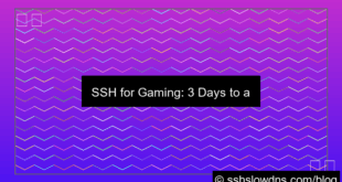 visual SSH 3 Days Perfect For Online Gaming