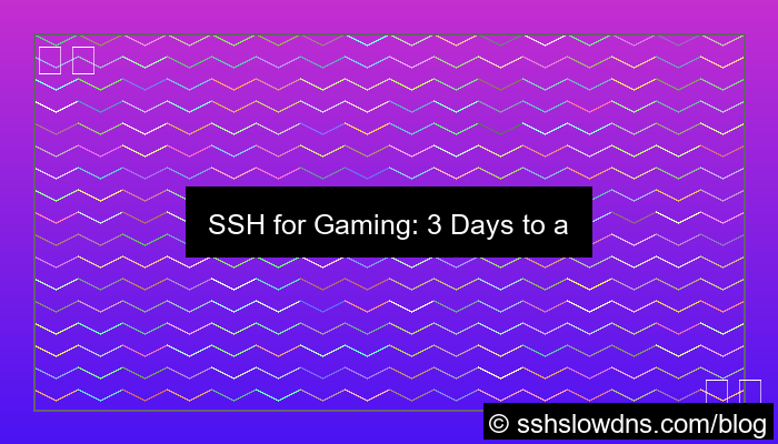 visual SSH 3 Days Perfect For Online Gaming
