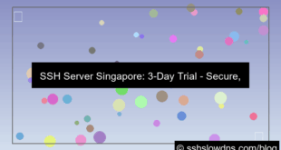 SSH 3 Days Server Singapore Location