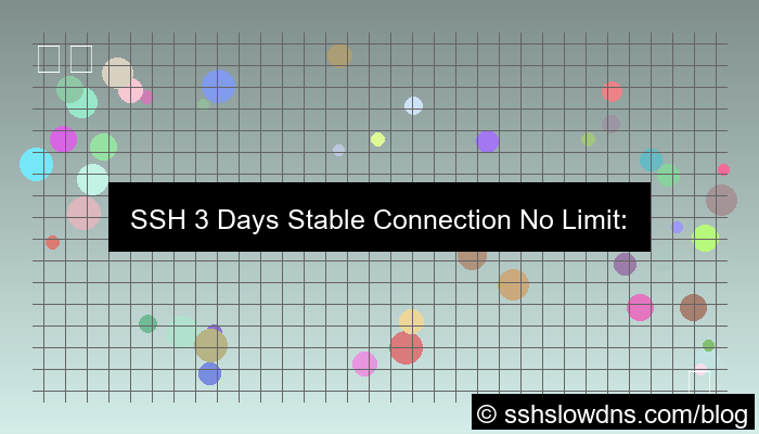 SSH 3 Days Stable Connection No Limit