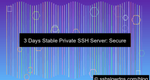 ilustrasi SSH 3 Days Stable Private SSH Server