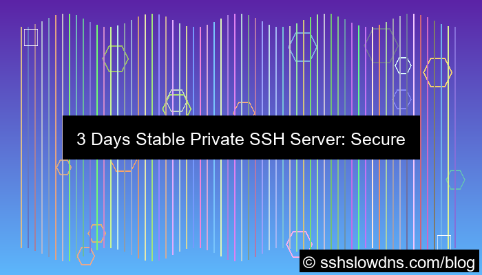 ilustrasi SSH 3 Days Stable Private SSH Server