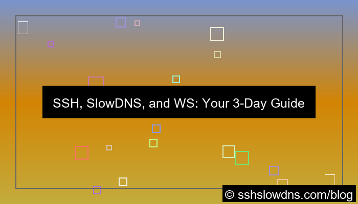 ilustrasi SSH 3 Days Support SlowDNS and WS