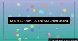 ilustrasi SSH 3 Days Support TLS and WS