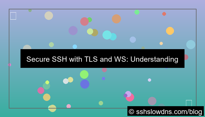 ilustrasi SSH 3 Days Support TLS and WS