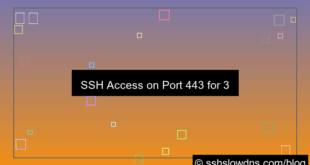 gambar SSH 3 Days With Port 443 Access