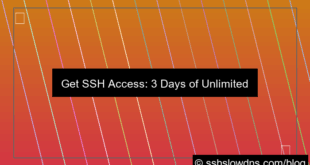 visual SSH 3 Days With Unlimited Bandwidth