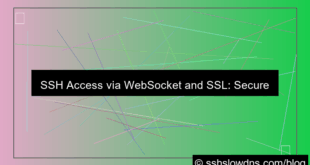 SSH 3 Days With WebSocket and SSL