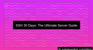 visual SSH 30 Days Best Server For Injector