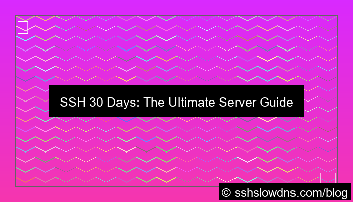 visual SSH 30 Days Best Server For Injector