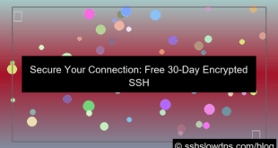 SSH 30 Days Encrypted SSH Server Free