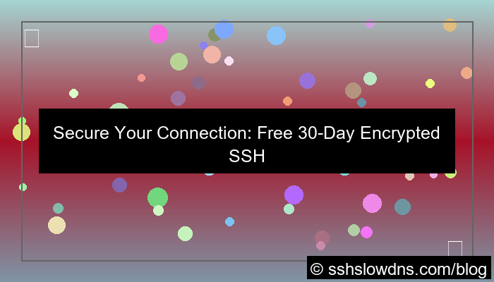 SSH 30 Days Encrypted SSH Server Free