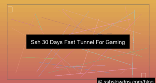 SSH 30 Days Fast Tunnel For Gaming