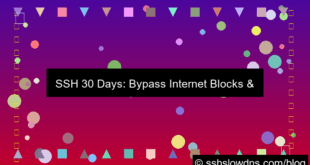 visual SSH 30 Days For Bypassing Internet Blocks