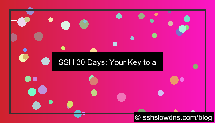SSH 30 Days For Stable Private Network