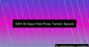 ilustrasi SSH 30 Days Free Proxy Tunnel Server