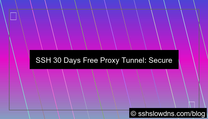 ilustrasi SSH 30 Days Free Proxy Tunnel Server