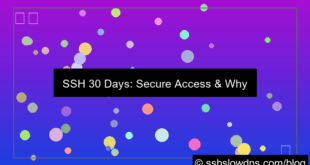 desain SSH 30 Days Ideal For Daily Use