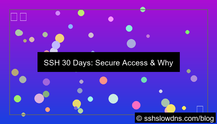 desain SSH 30 Days Ideal For Daily Use