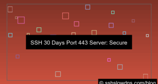 ilustrasi SSH 30 Days Port 443 Ready Server