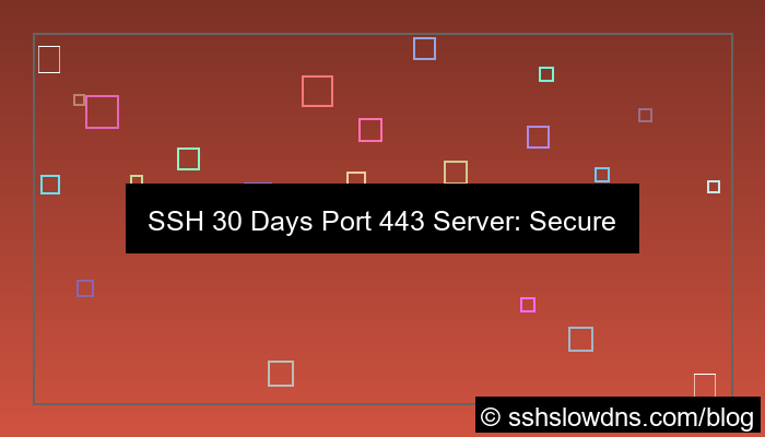 ilustrasi SSH 30 Days Port 443 Ready Server