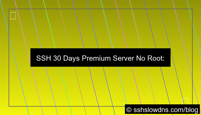 SSH 30 Days Premium Server No Root