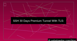 grafik SSH 30 Days Premium Tunnel With TLS