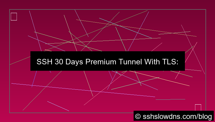 grafik SSH 30 Days Premium Tunnel With TLS