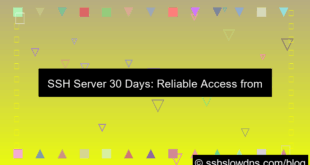 SSH 30 Days Reliable Server All Country