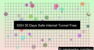 SSH 30 Days Safe Internet Tunnel Free