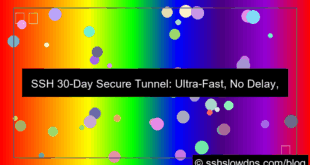grafik SSH 30 Days Secure Tunnel No Delay