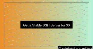 grafik SSH 30 Days Stable Server No Ads