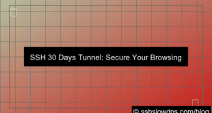 SSH 30 Days Tunnel For Secure Browsing