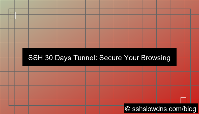 SSH 30 Days Tunnel For Secure Browsing