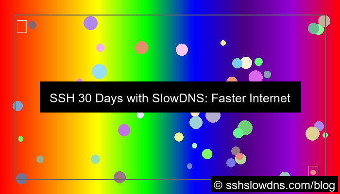 SSH 30 Days With SlowDNS Supported