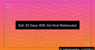 grafik SSH 30 Days With SSL and WebSocket
