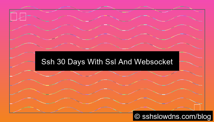 grafik SSH 30 Days With SSL and WebSocket