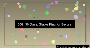 gambar SSH 30 Days With Stable Ping Support