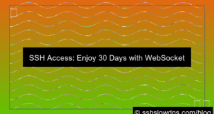 grafik SSH 30 Days With WebSocket SSL Support