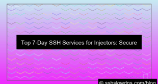 SSH 7 Days Best Choice For Injector