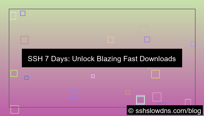ilustrasi SSH 7 Days Fast Download and Upload